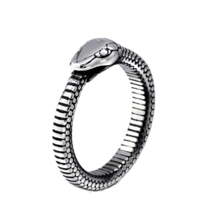 Ancient Ouroboros Ring