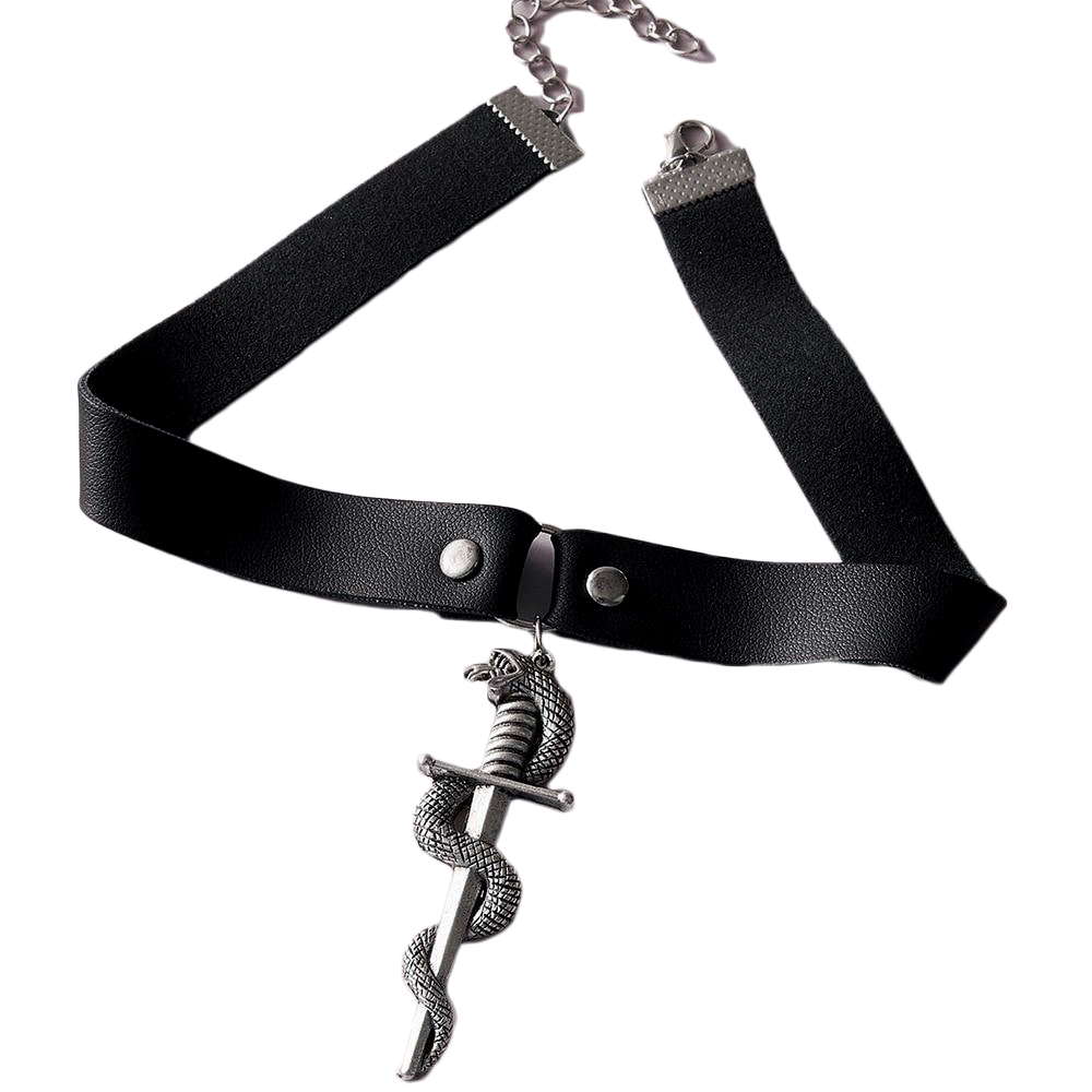 Serpent and Sword Viking Necklace 1 Serpent and Sword Viking Necklace
