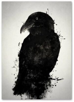 Raven Canvas
